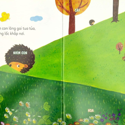 Phát Triển Khả Năng Ngôn Ngữ Cho Trẻ - Để Bé Biết Nói Lời Xin Lỗi