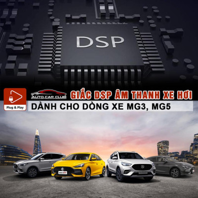 Dây nối DSP/ampli, cáp truyền tải tín hiệu âm thanh cho màn hình MG3, MG5, Peugeot cỡ bé, độ loa Plug N Play.