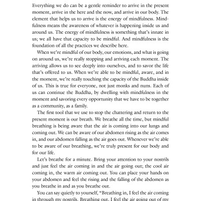 One Buddha Is Not Enough: A Story Of Collective Awakening