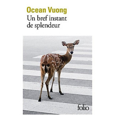 Sách văn học đương đại tiếng Pháp - Un Bref Instant De Splendeur