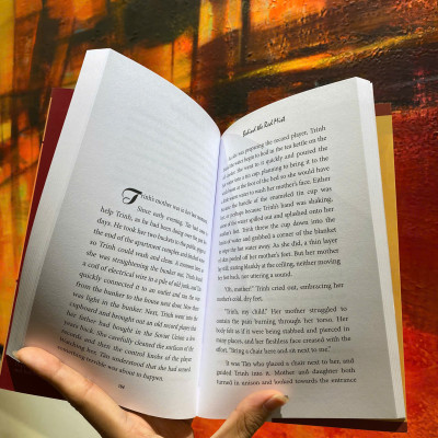 Sách - Behind The Red Mist by Hồ Anh Thái - Tiểu thuyết lịch sử Việt Nam - Novel in English