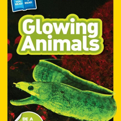 Glowing Animals (L1/Co-Reader) (National Geographic Readers)