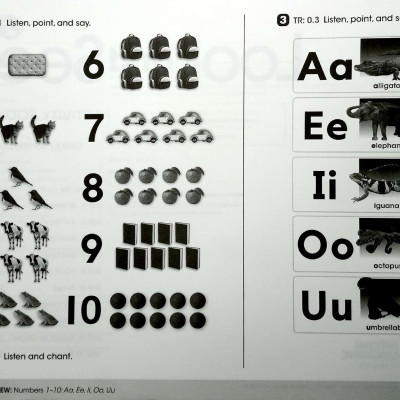 Look And See AME 2 Activity Book
