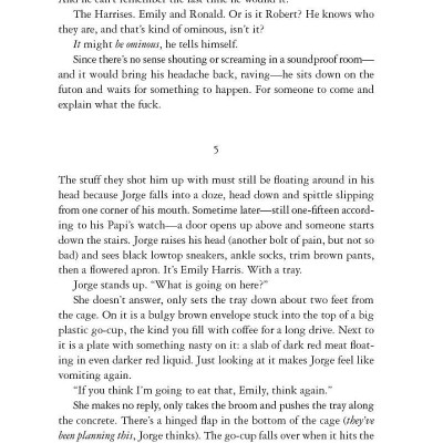 Holly - Stephen King