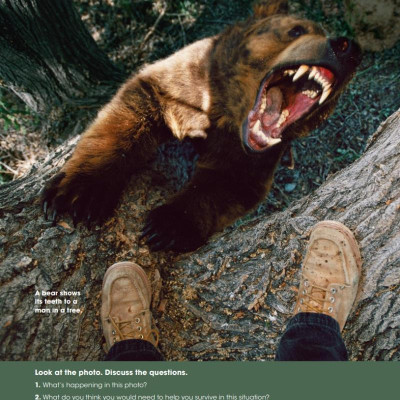 Look 6 (Look, American English)