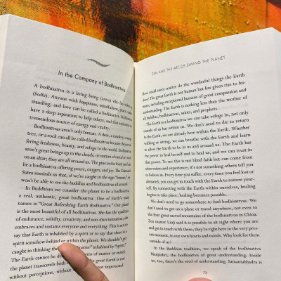 Sách - Zen and the Art of Saving the Planet: Harnessing the Power of Mindfulness for a Regenerative World, Personal Growth, and Inner Peace by THÍCH NHẤT HẠNH/Editors