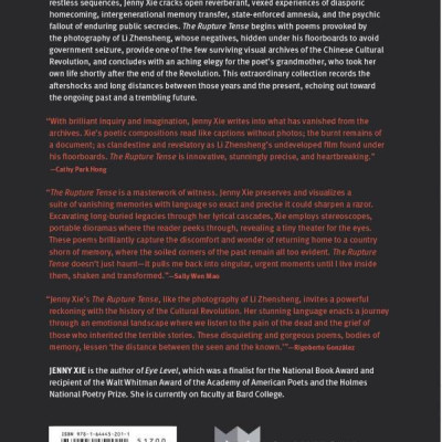 The Rupture Tense: Poems