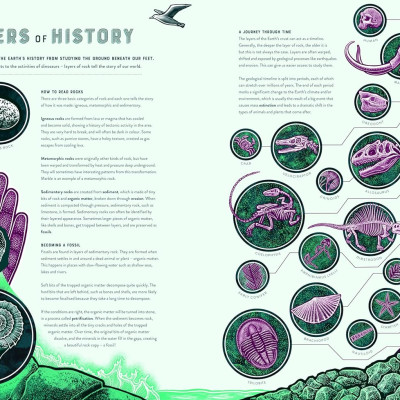 Bang The Wild Wonders Of Earth’S Phenomena