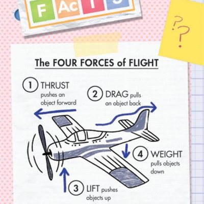 Ada Twist, Scientist: The Why Files #1 - Exploring Flight!