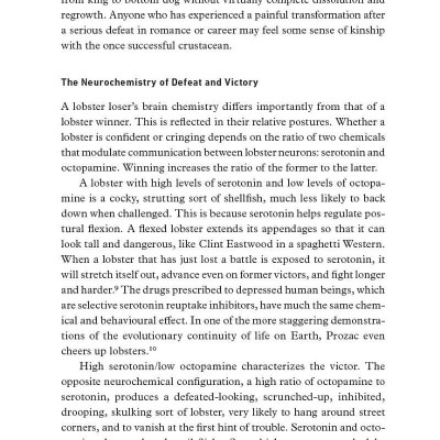 12 Rules for Life: An Antidote to Chaos