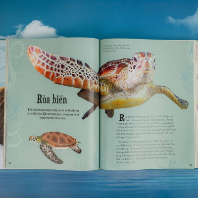 Sách - Bách khoa thư kỳ thú về Vũ trụ - Đinh Tị Books