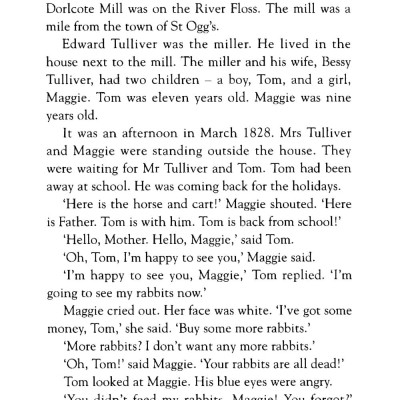 MR Mill on the Floss Beginner ( no CD )