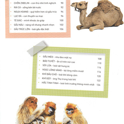 Thiên Nhiên- Những Bí Mật Còn Ẩn Giấu - Động Vật Quý Hiếm (Tái Bản 2019)- 2HBooks