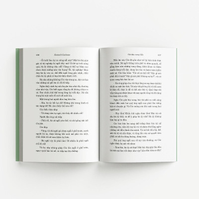 Sách - Gió Đùa Trong Liễu - Đông A