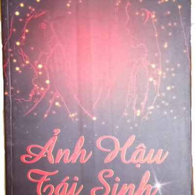 Tiểu thuyết ảnh hậu tái sinh