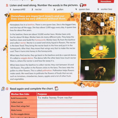 Starlight: Level 5: Student Book