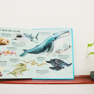 Big Book Of Sea Creatures – Cuốn Sách Khổng Lồ Về Các Loài Động Vật Biển