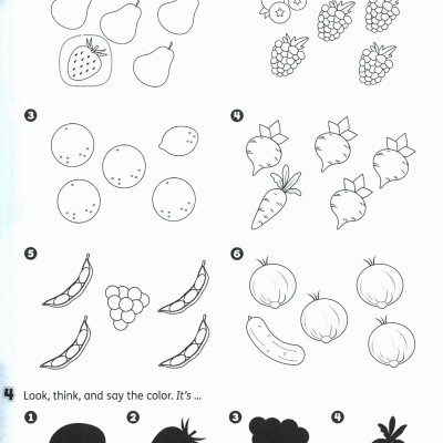 Buzz Starter Workbook