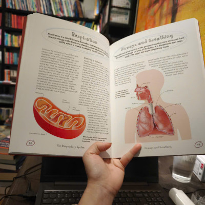 Sách - The Secret Life of the Human Body: Uncover the Hidden Workings of Your Body by John Clancy