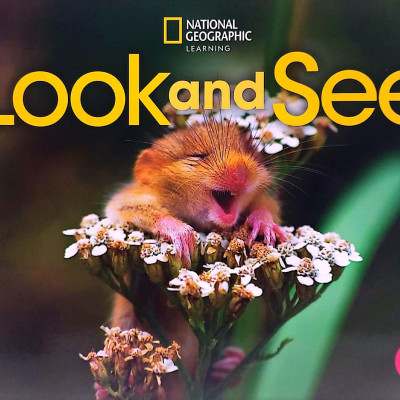 Look And See 1 AME: Student