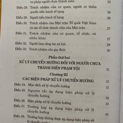 Luật Tư Pháp Người Chưa Thành Niên Năm 2024