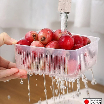 Bộ 02 chiếc hộp đựng thực phẩm 2 lớp Nakaya 1100ml hàng nội địa Nhật Bản (Made in Japan)