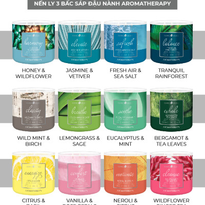 Nến ly 3 bấc Aromatherapy Goose Creek (411g) - Jasmine & Vetiver