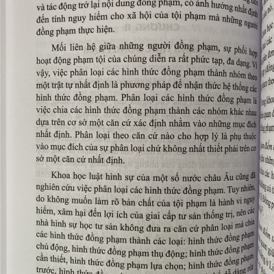 Đồng phạm trong luật hình sự Việt Nam