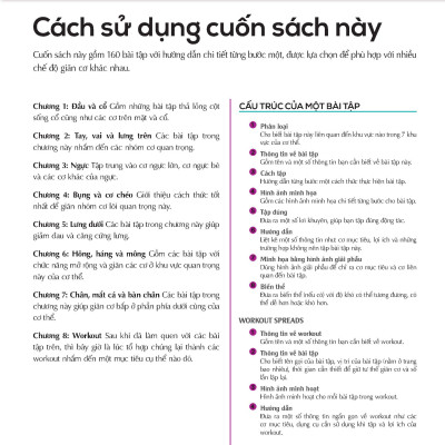 Giãn Cơ Bắp Thư Giãn Giảm Đau Nhức