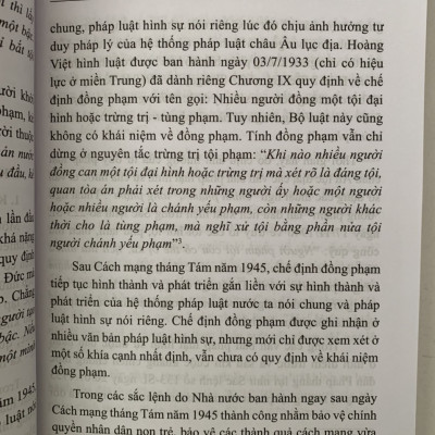 Đồng phạm trong luật hình sự Việt Nam