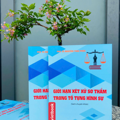 Giới Hạn Xét Xử Sơ Thẩm Trong Tố Tụng Hình Sự 