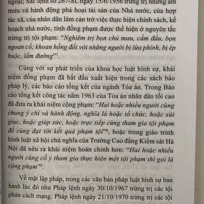 Đồng phạm trong luật hình sự Việt Nam