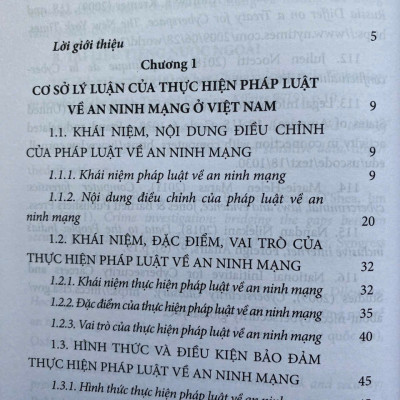 Thực Hiện Pháp Luật Về  An Ninh Mạng Ở Việt Nam 