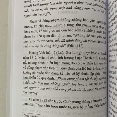 Đồng phạm trong luật hình sự Việt Nam