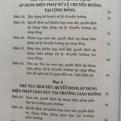 Luật Tư Pháp Người Chưa Thành Niên Năm 2024
