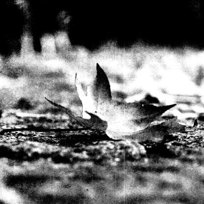 Già Ơi... Chào Bạn! 