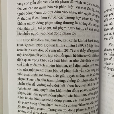 Đồng phạm trong luật hình sự Việt Nam