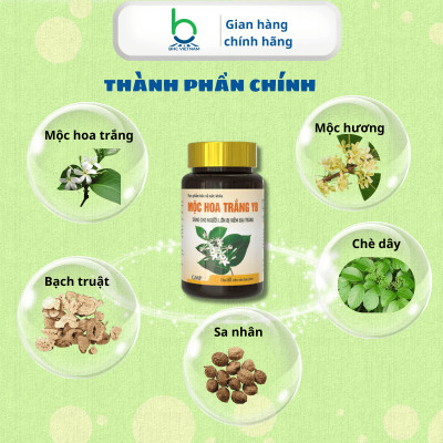 Viên Uống MỘC HOA TRẮNG YB Hỗ Trợ Rối Loạn Tiêu Hóa, Viêm Đại Tràng - Lọ 60 viên