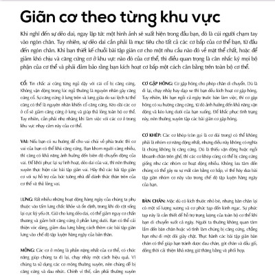 Giãn Cơ Bắp Thư Giãn Giảm Đau Nhức