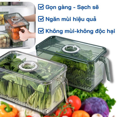 Hộp Đựng Thực Phẩm 3L Có Nắp Tách Nước Và Tay Cầm Tiện Lợi – Hộp Bảo Quản Đồ Ăn Tủ Lạnh - Hộp Lạnh - HÀNG CHÍNH HÃNG MINIIN