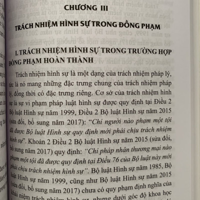 Đồng phạm trong luật hình sự Việt Nam