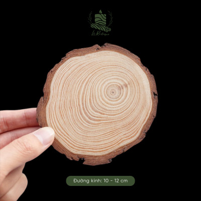 Lát Gỗ Thông 10-12cm Le Rustique - Decor Trang Trí - Lót Nến Thơm - Lót Cốc Nước - Phụ Kiện Chụp Ảnh