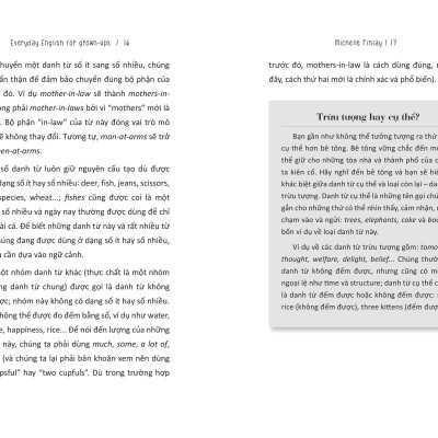 Sách Everyday English For Grown-Ups - Tự Học Tiếng Anh Cho Người Bận Rộn _AZ