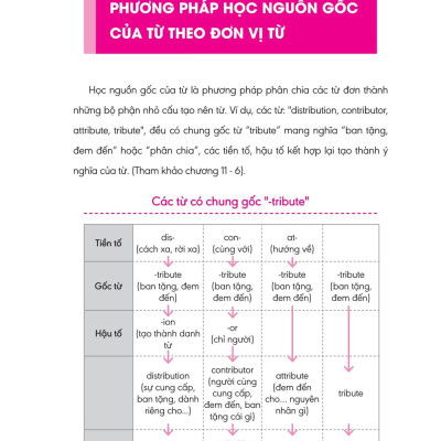 Nghiền Từ Vựng Tiếng Anh - Học Qua Gốc Từ Bằng Hình Ảnh - Gốc Từ Là Bí Quyết Để Ghi Nhớ Hàng Nghìn Từ Vựng - Quyển 2