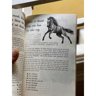 Combo sách - Phân biệt & giải thích các điểm ngữ pháp Tiếng Trung hay dùng sai + 101 thông điệp thay đổi cuộc đời phụ nữ +DVD tài liệu