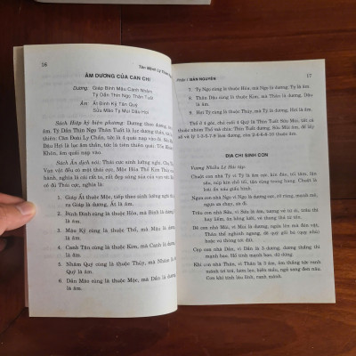 Tân Mệnh Lý Thám Nguyên-Viên Thụ 1915