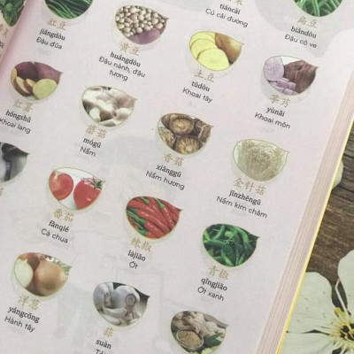 Combo 2 sách Phân tích đáp án các bài luyện dịch Tiếng Trung và Make your Chinese map Bản đồ tư duy từ vựng Tiếng Trung theo chủ đề +DVD tài liệu