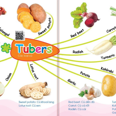 (Bé học từ vựng tiếng Anh) Chinh phục từ vựng tiếng Anh - Theo sơ đồ tư duy Mind Map - Có file nghe