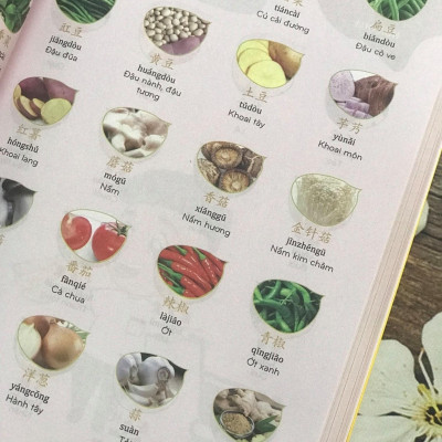 Sách- Combo gửi tôi thời Thanh Xuân song ngữ Trung việt có phiên âm MP3 nghe + Make your Chinese map Bản đồ tư duy từ vựng Tiếng Trung theo chủ đề +DVD tài liệu