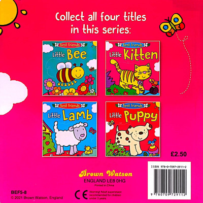 Best Friends Little Kitten